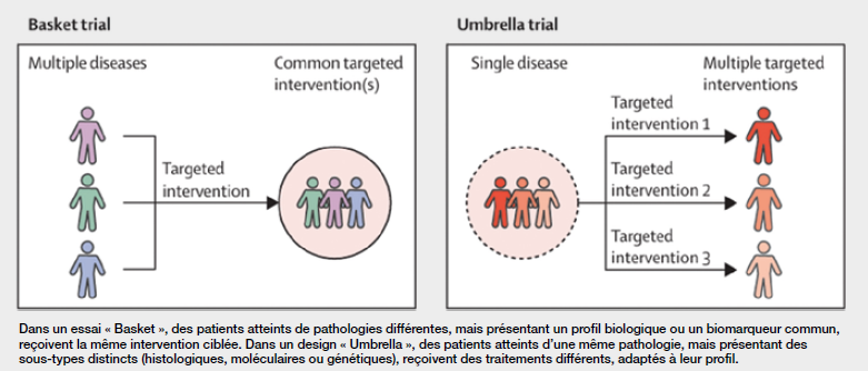 Capture d'écran 2025-11-07 155807